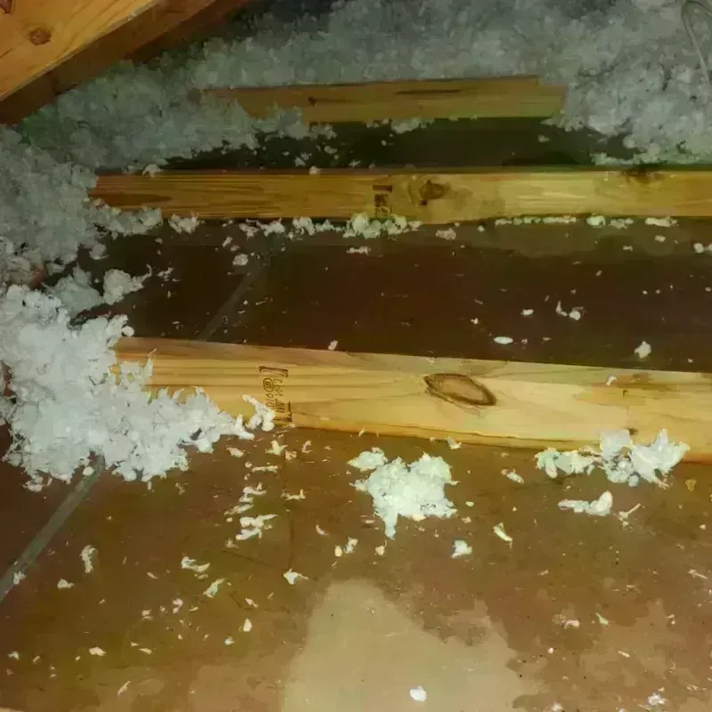 Attic Water Damage in Sunnyside, WA