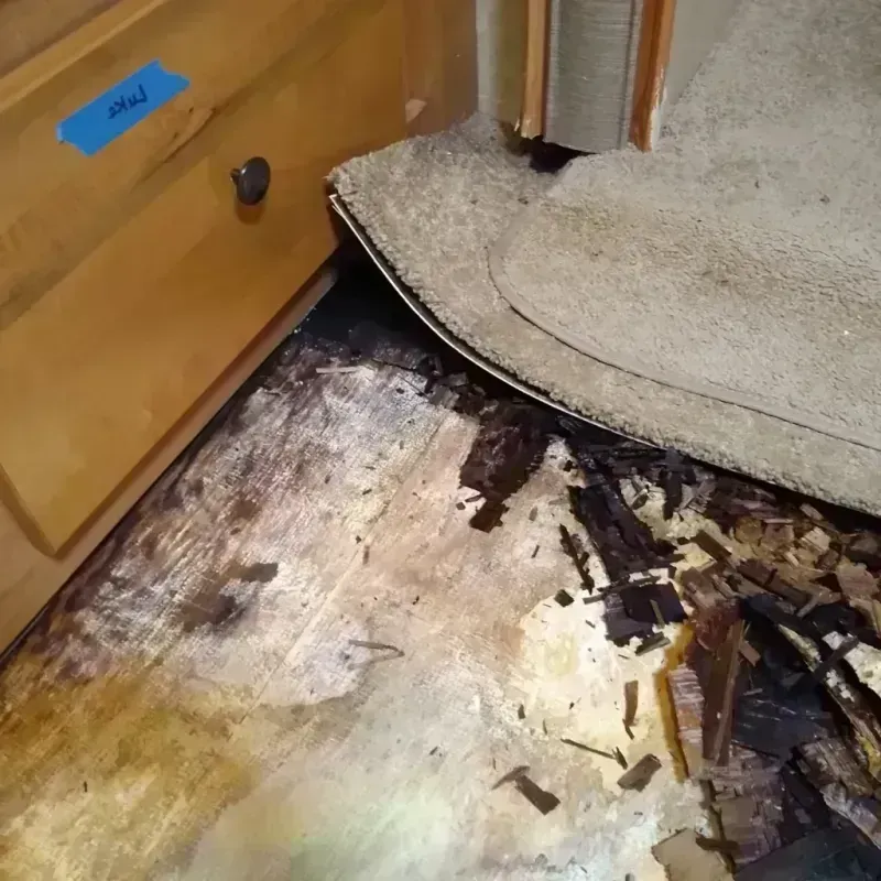 Best Wood Floor Water Damage Service in Sunnyside, WA